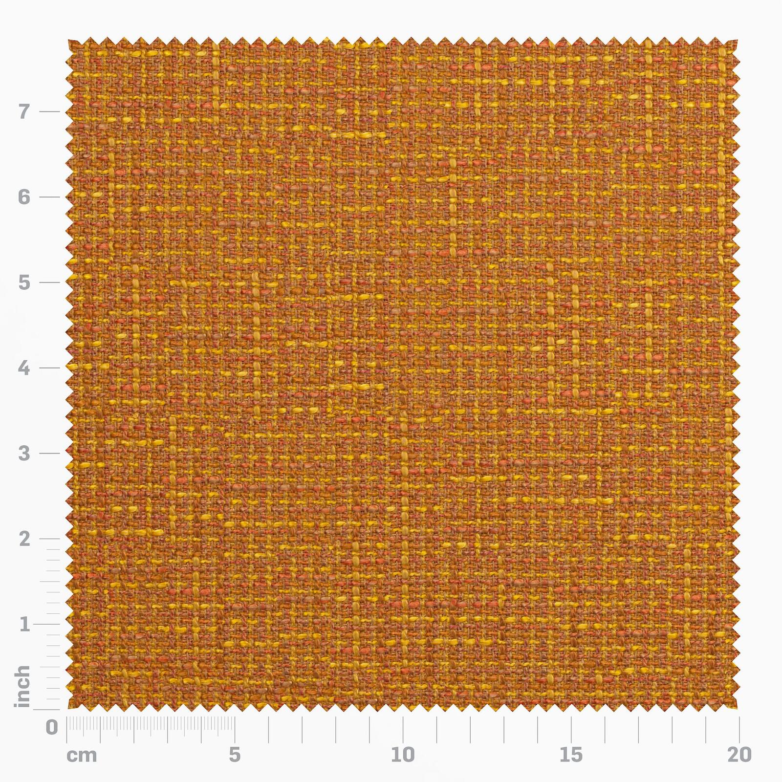 Benchmark 31-Marmalade