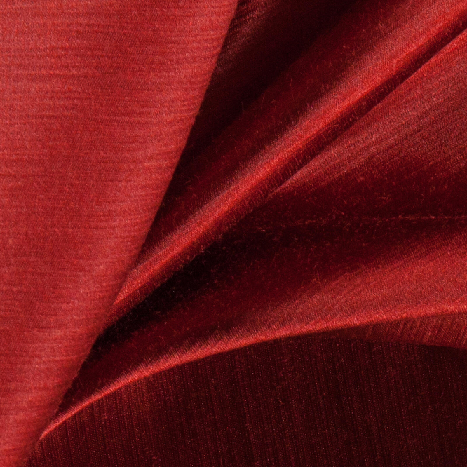 Raider Raider 25 Ribbon raider-raider-25-ribbon