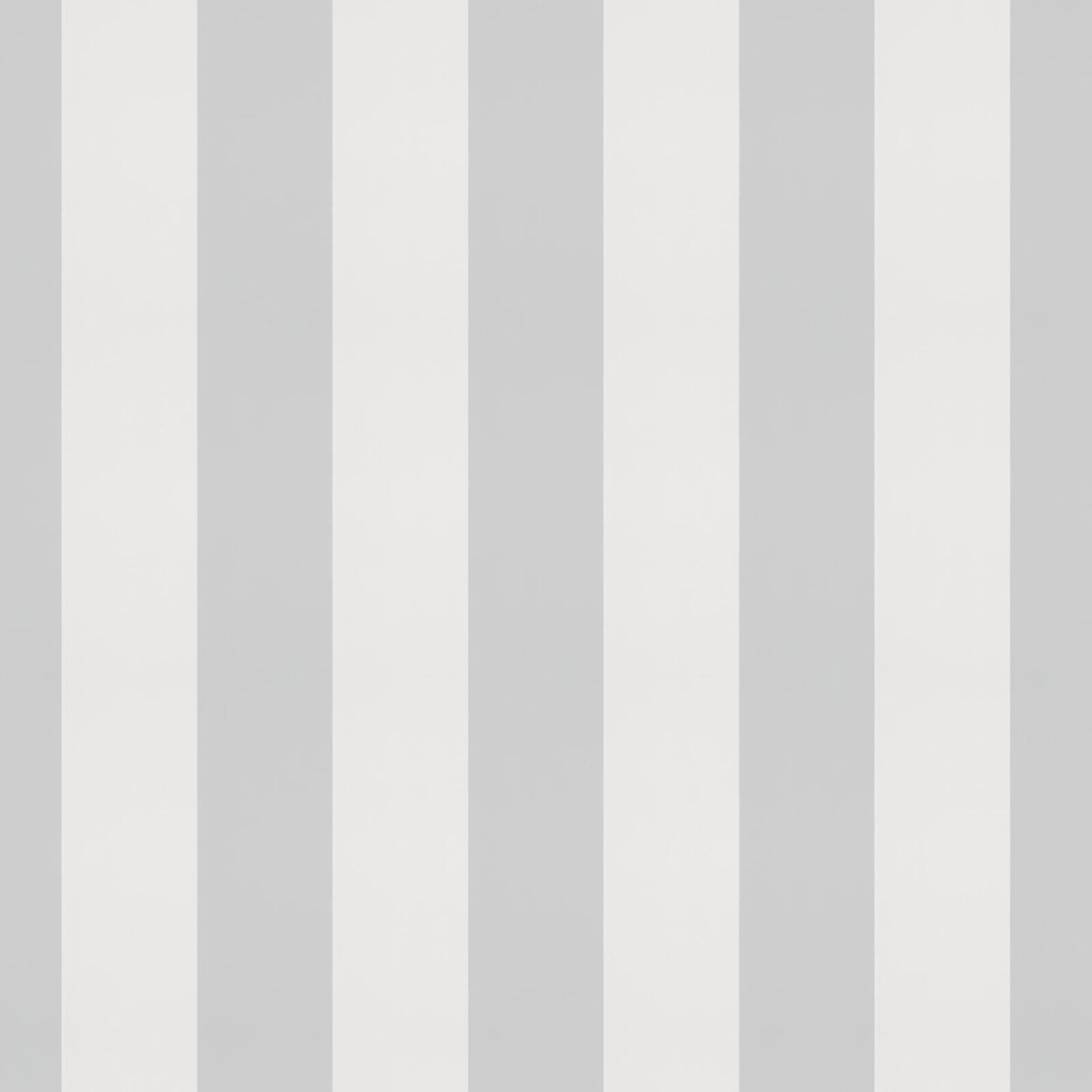 Eco Stripe 27-Silver