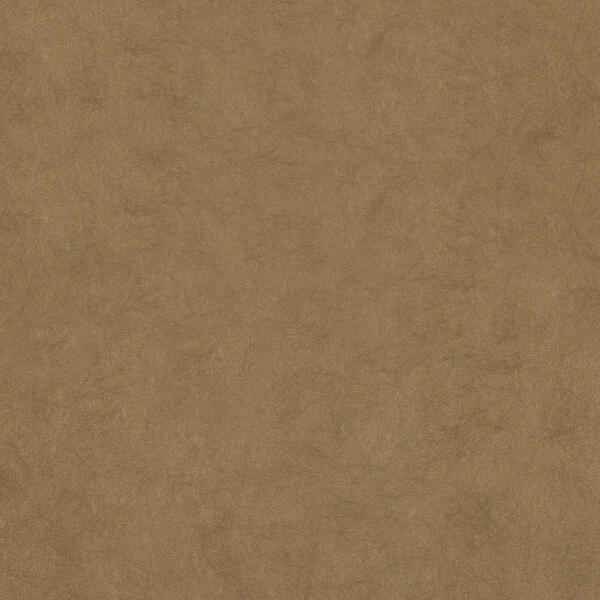 Download Preview Asset