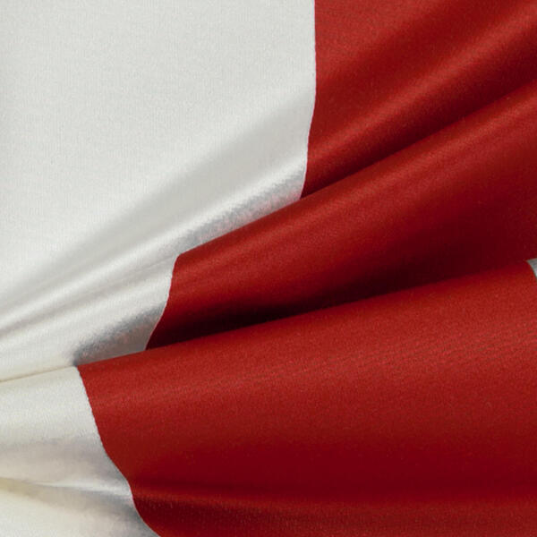 Download Preview Asset