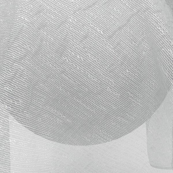 Download Preview Asset