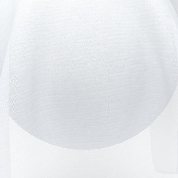 Download Preview Asset