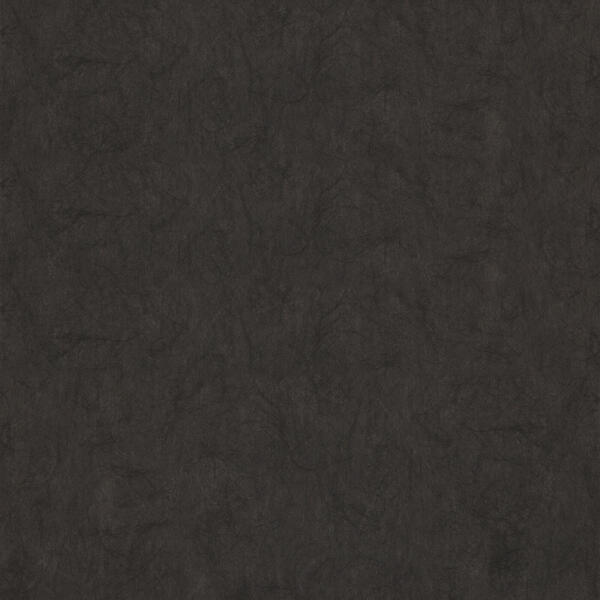 Download Preview Asset