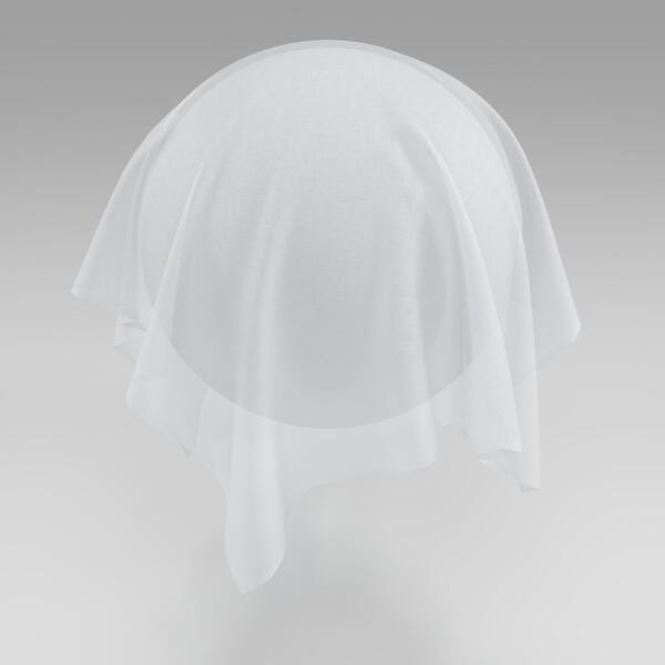 Download Preview Asset