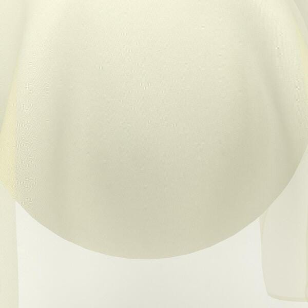 Download Preview Asset
