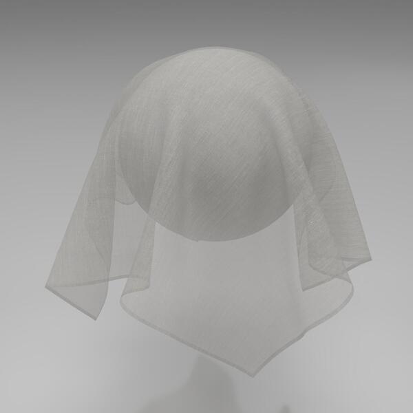 Download Preview Asset