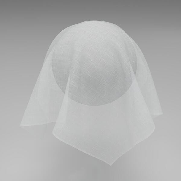Download Preview Asset