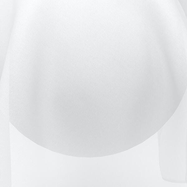Download Preview Asset