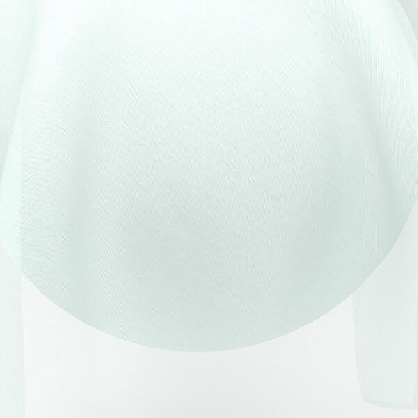 Download Preview Asset