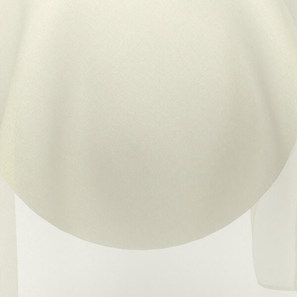Download Preview Asset