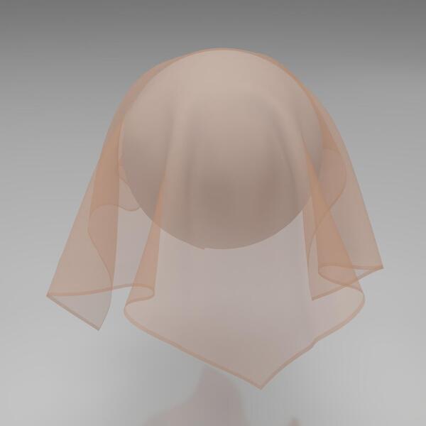 Download Preview Asset