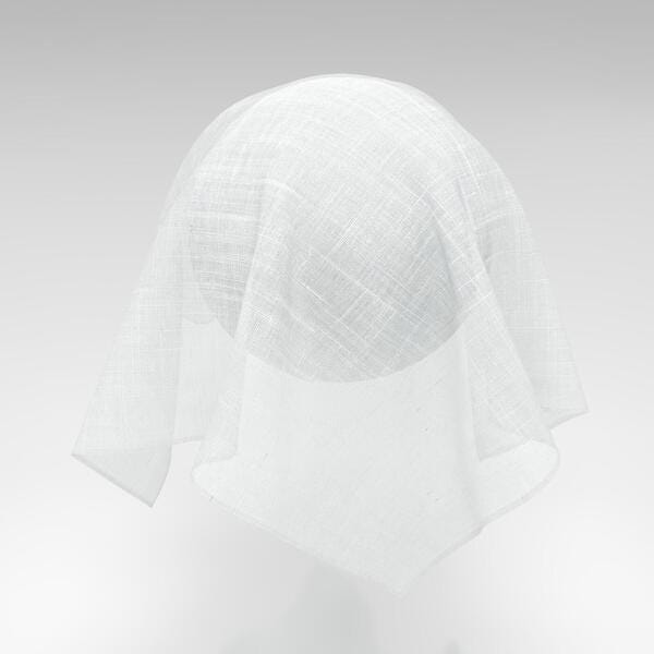 Download Preview Asset