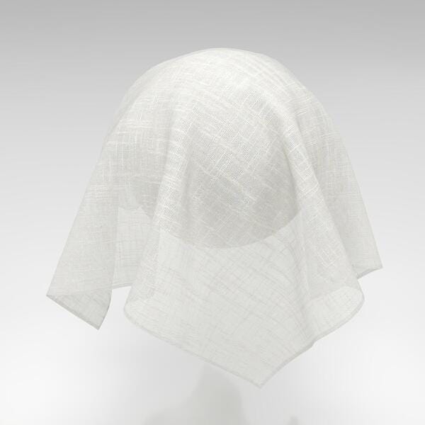 Download Preview Asset