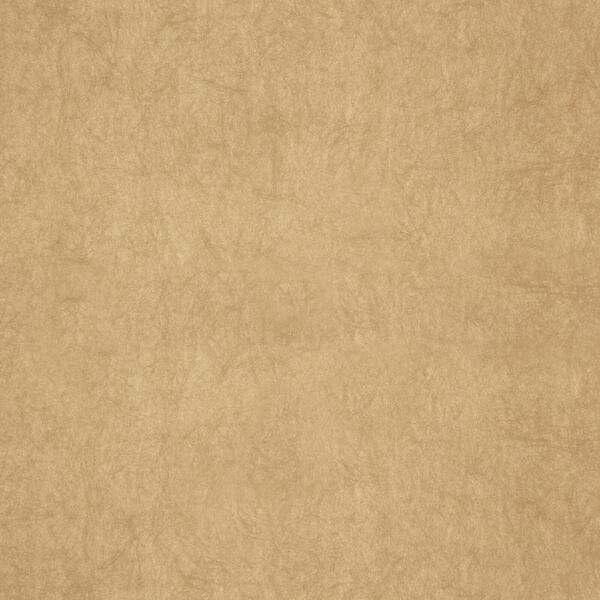 Download Preview Asset