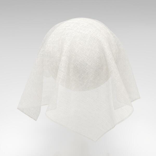 Download Preview Asset