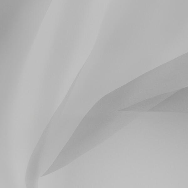 Download Preview Asset