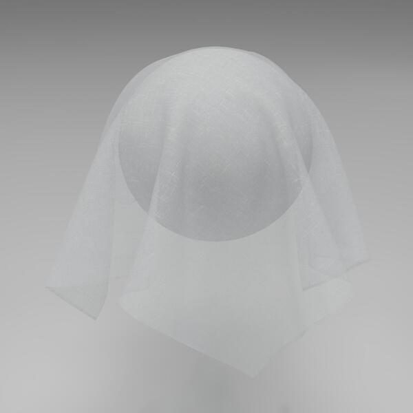 Download Preview Asset