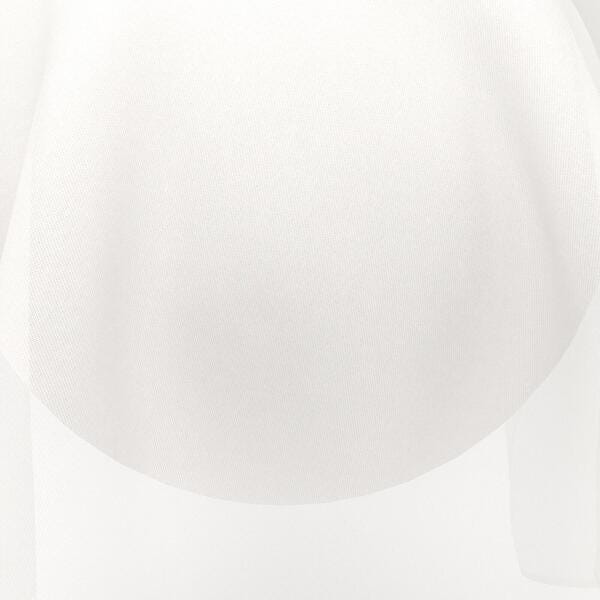 Download Preview Asset