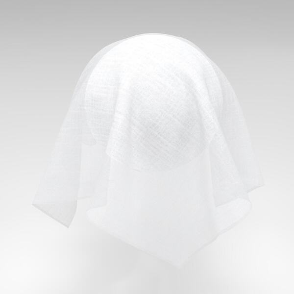 Download Preview Asset