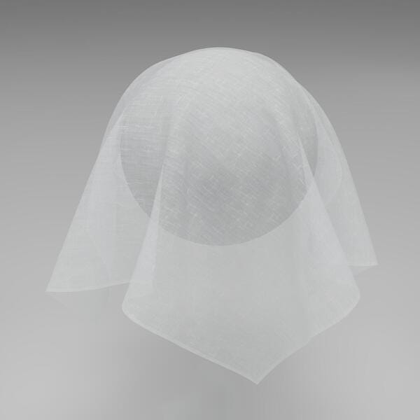 Download Preview Asset