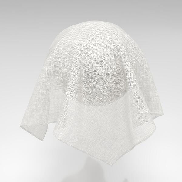 Download Preview Asset