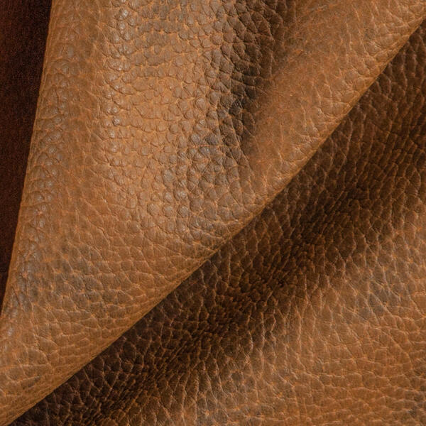 Download Preview Asset