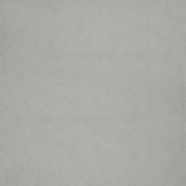 Download Preview Asset