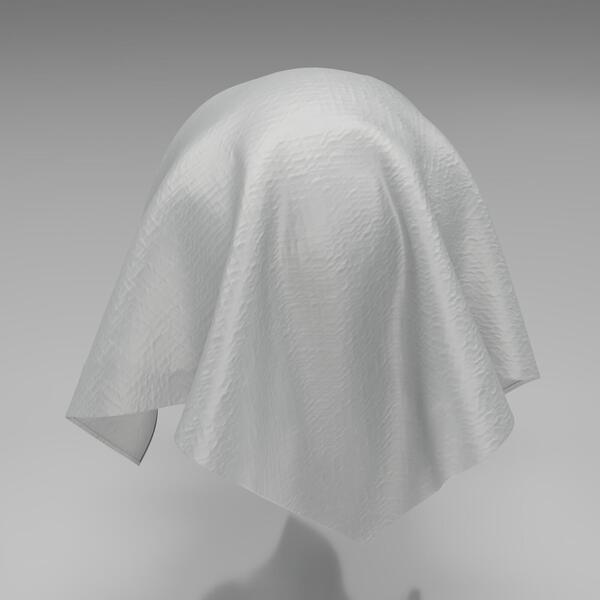 Download Preview Asset