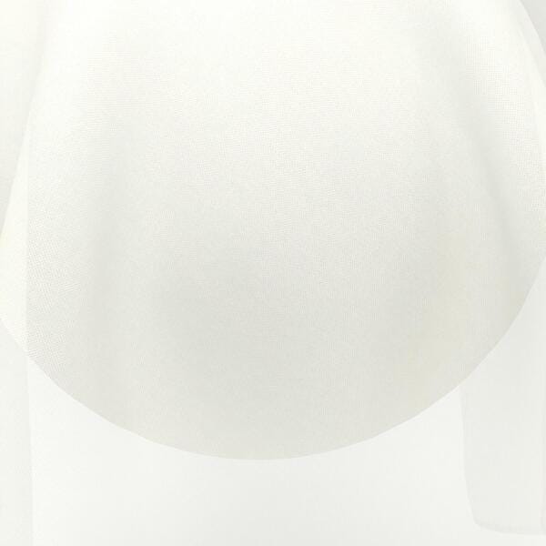 Download Preview Asset