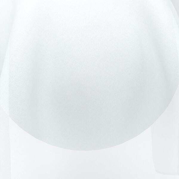 Download Preview Asset