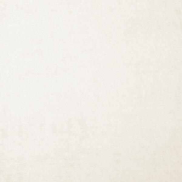 Download Preview Asset