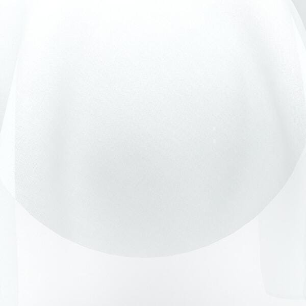 Download Preview Asset