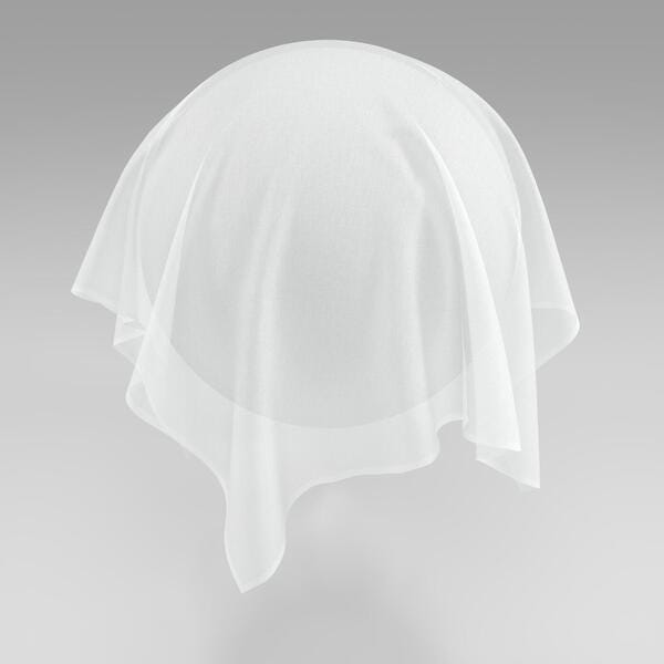 Download Preview Asset