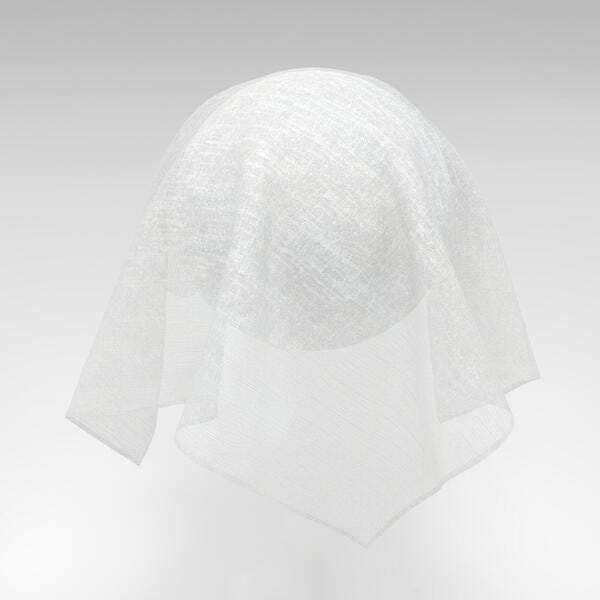 Download Preview Asset