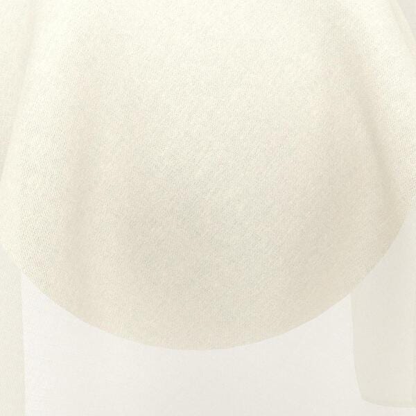 Download Preview Asset
