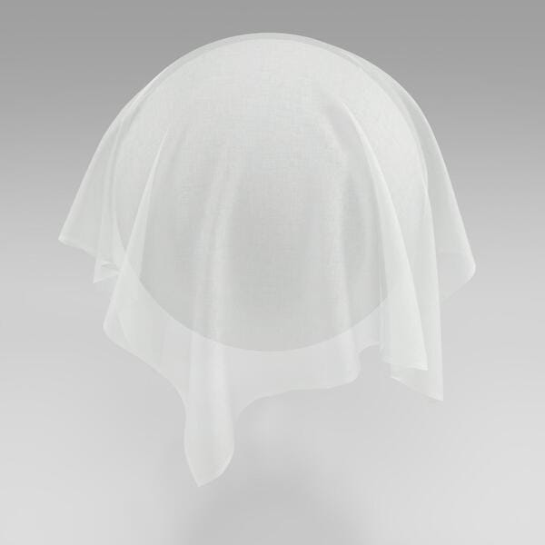 Download Preview Asset