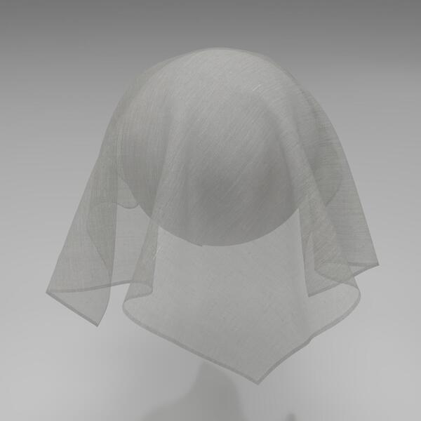 Download Preview Asset