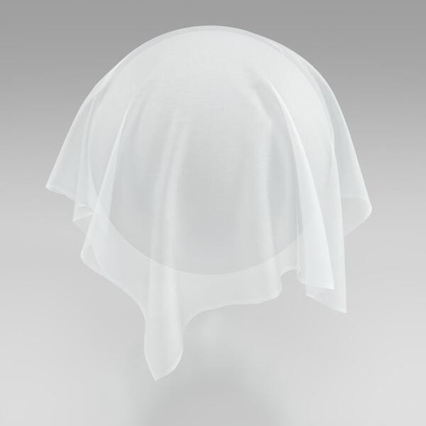 Download Preview Asset