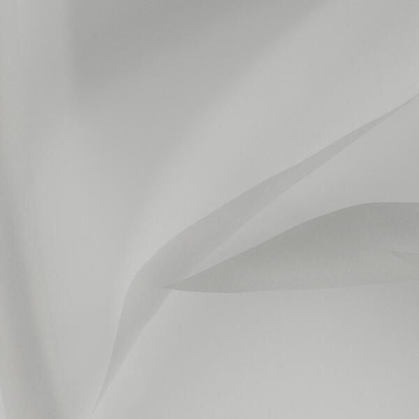 Download Preview Asset
