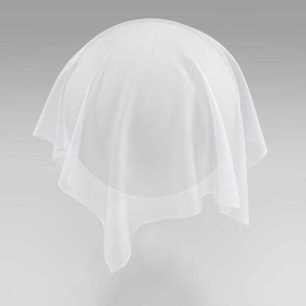 Download Preview Asset