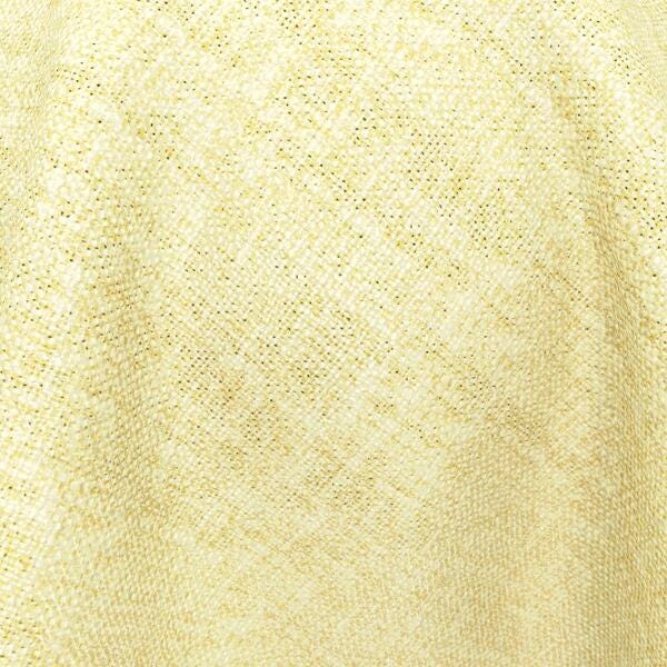 Download Preview Asset