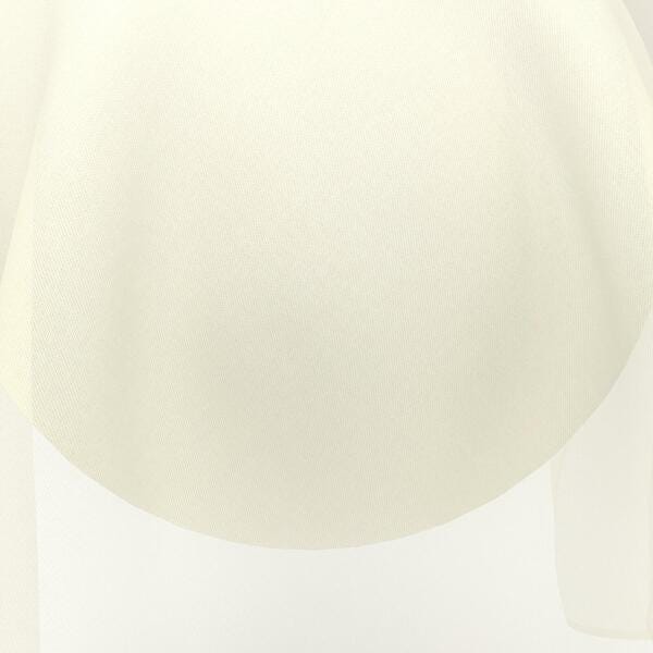 Download Preview Asset