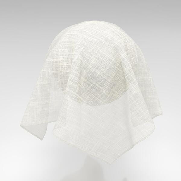 Download Preview Asset