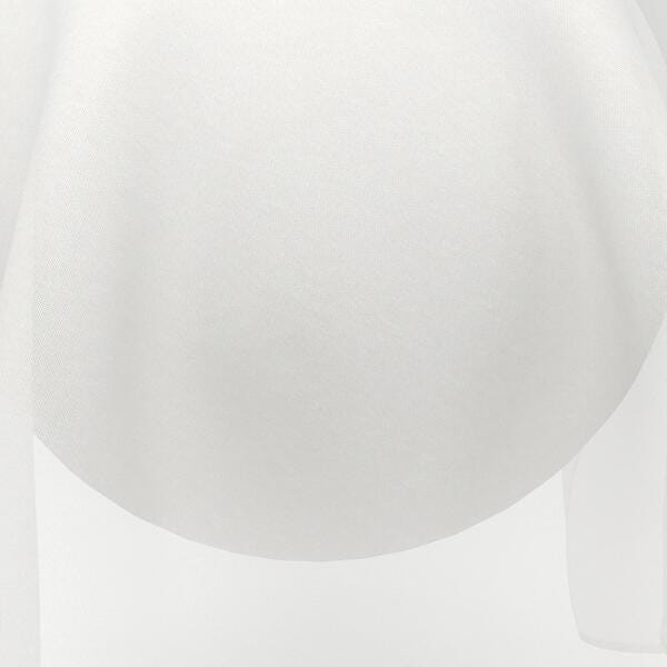 Download Preview Asset