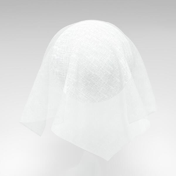 Download Preview Asset