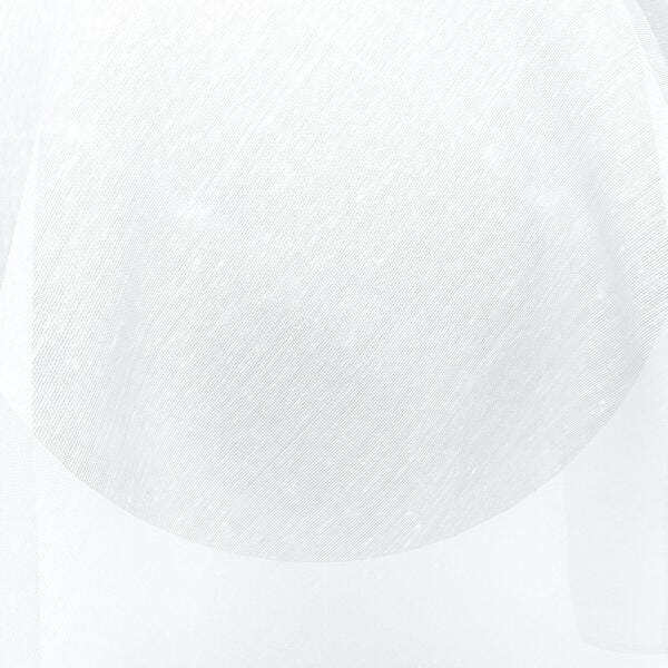 Download Preview Asset