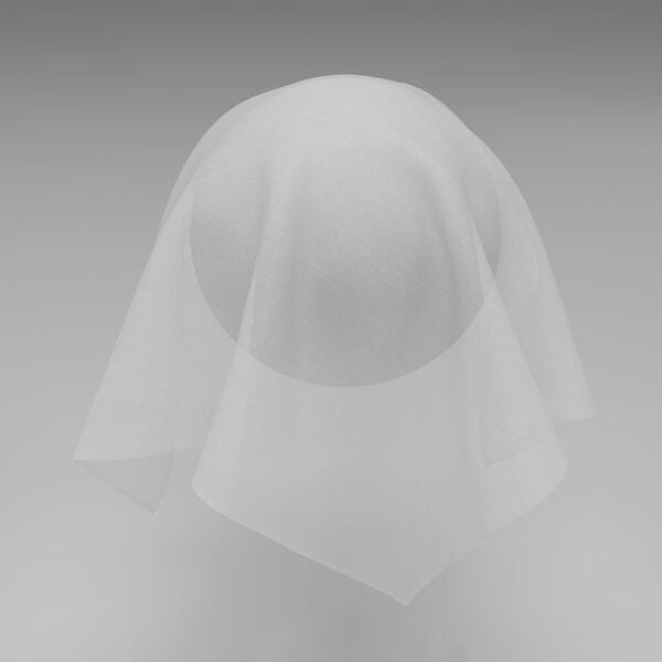 Download Preview Asset