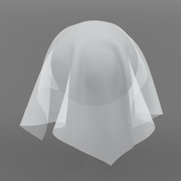 Download Preview Asset