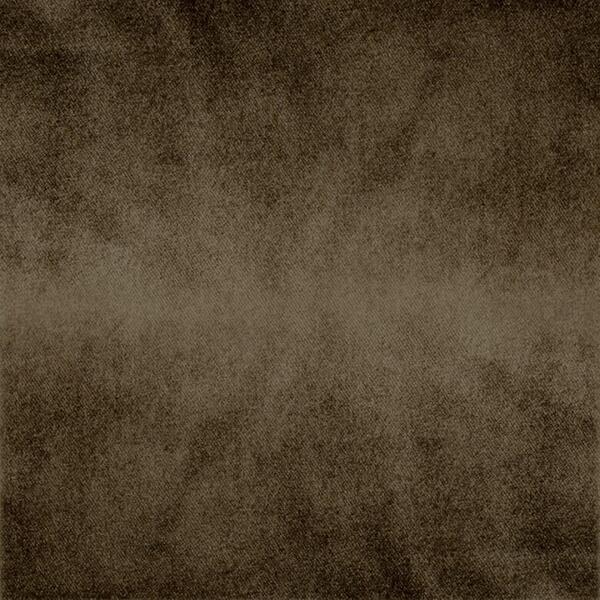 Download Preview Asset
